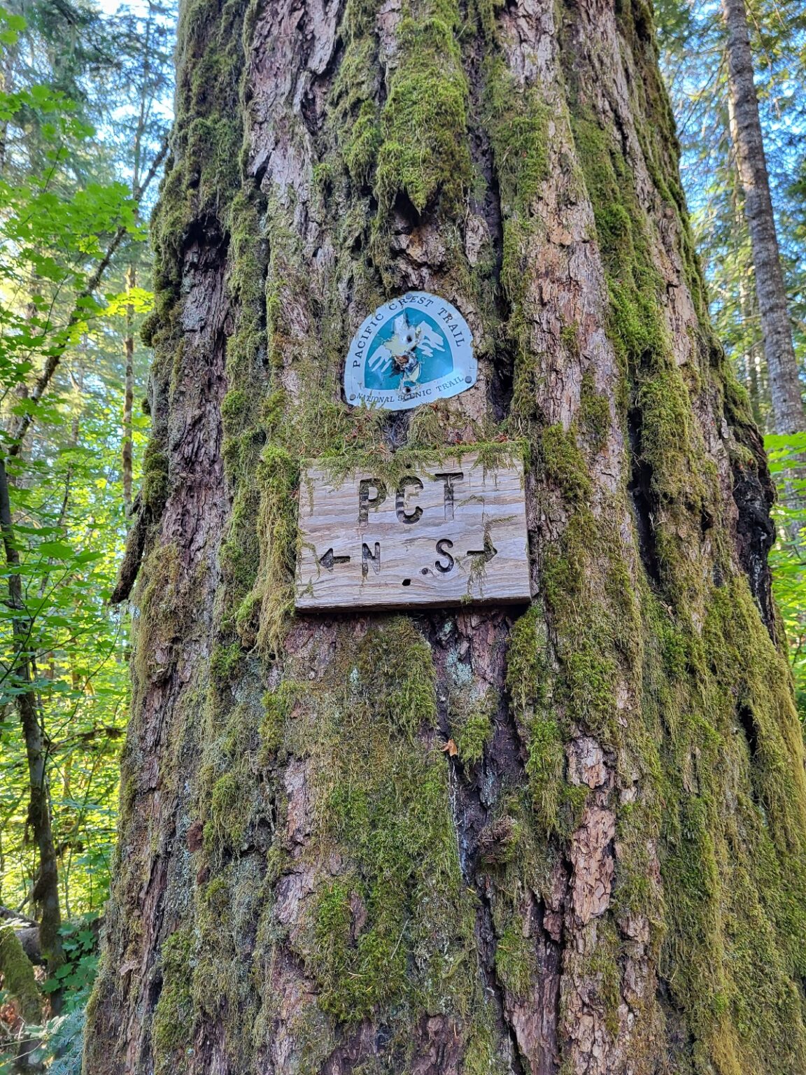 PCT day 129 · PCT class 2022 – fotka 2