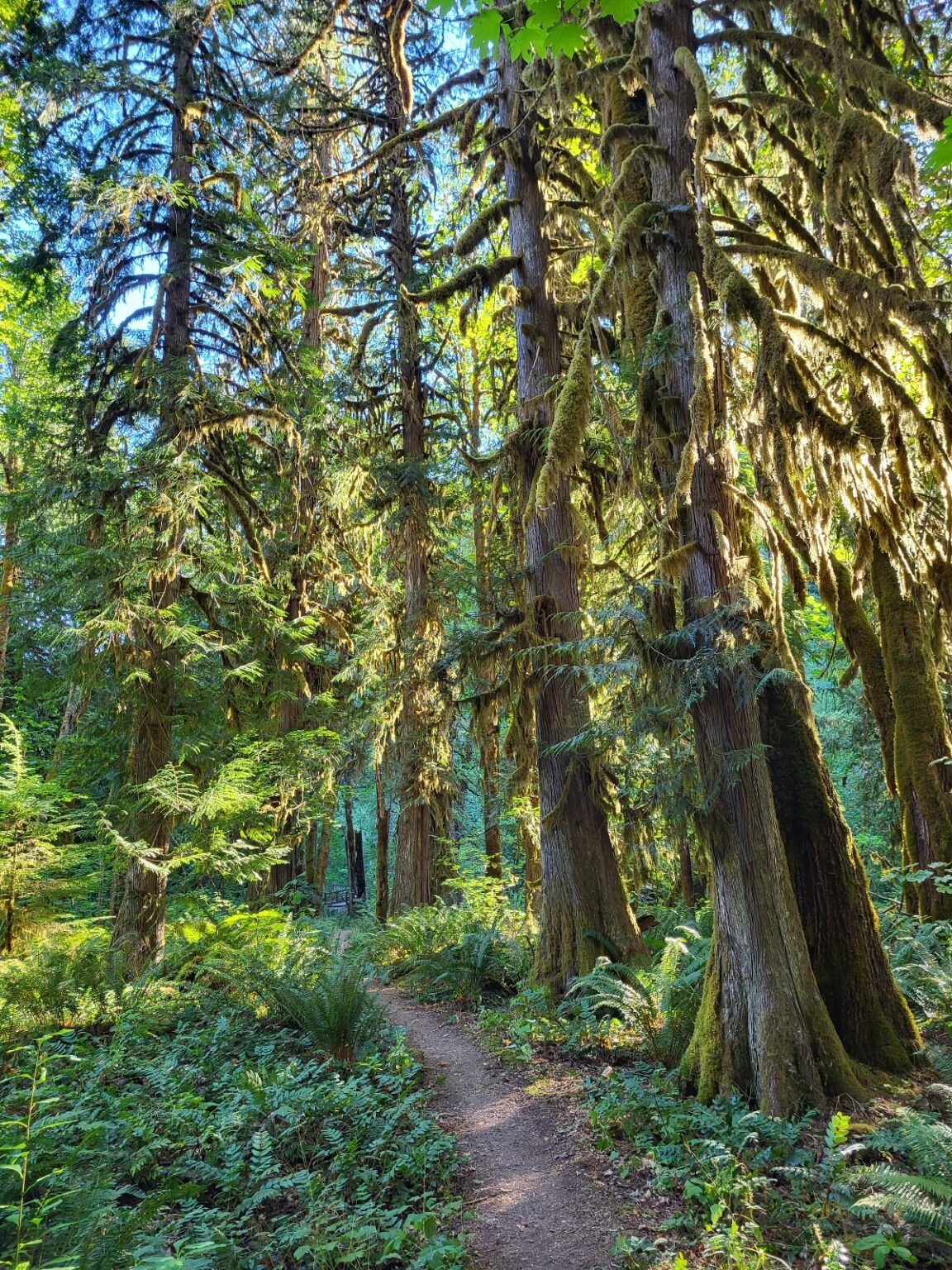 PCT day 129 · PCT class 2022 – fotka 3