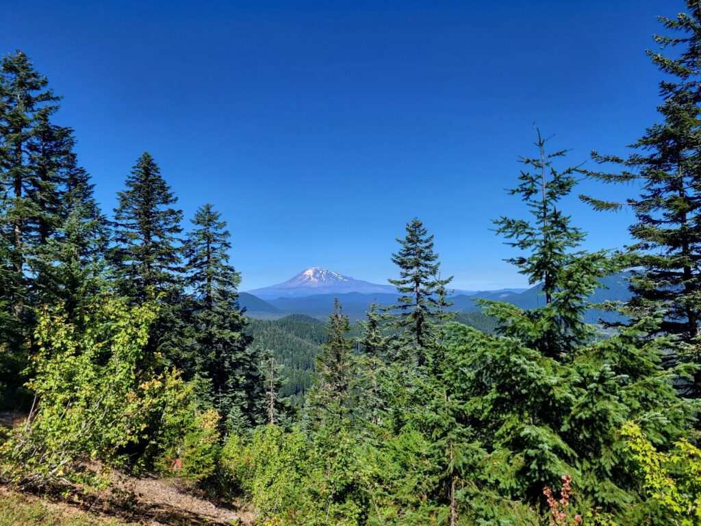PCT day 129 · PCT class 2022 – fotka 4