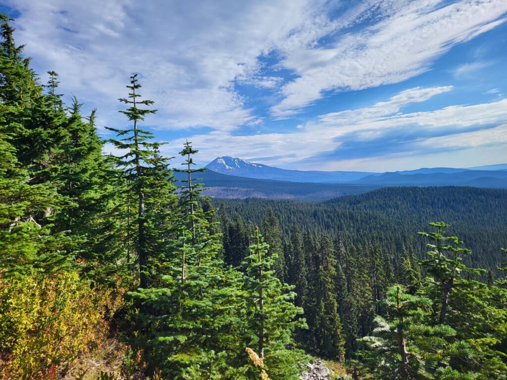 PCT day 130 · PCT class 2022 – fotka 2