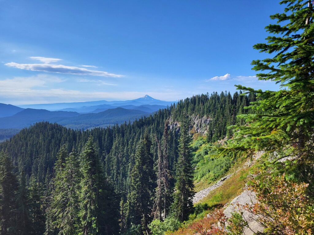 PCT day 130 · PCT class 2022 – fotka 3