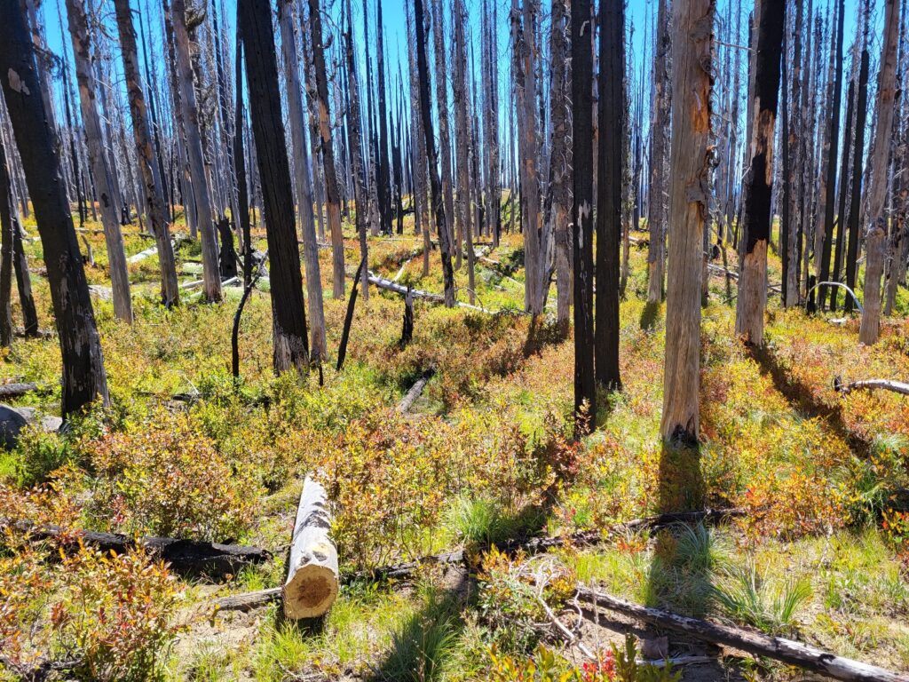 PCT day 131 · PCT class 2022 – fotka 2