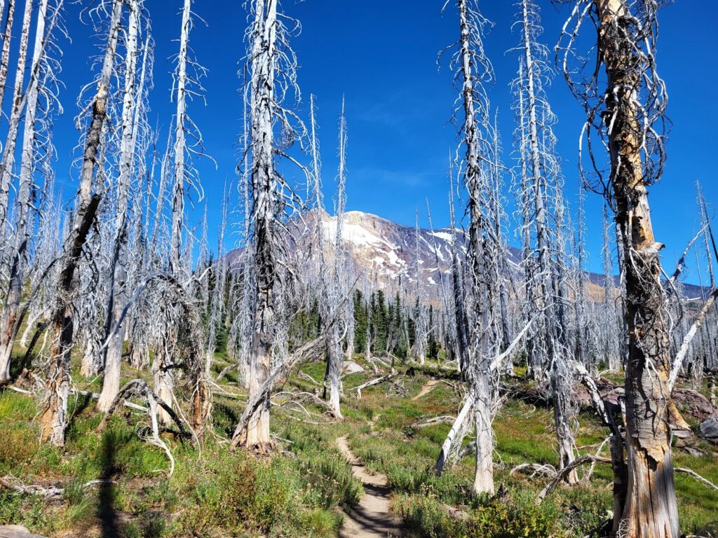 PCT day 131 · PCT class 2022 – fotka 3