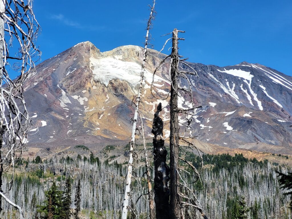 PCT day 131 · PCT class 2022 – fotka 4