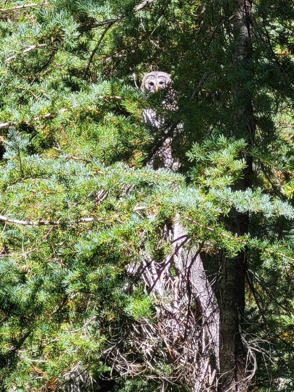 PCT day 132 · PCT class 2022 – fotka 3