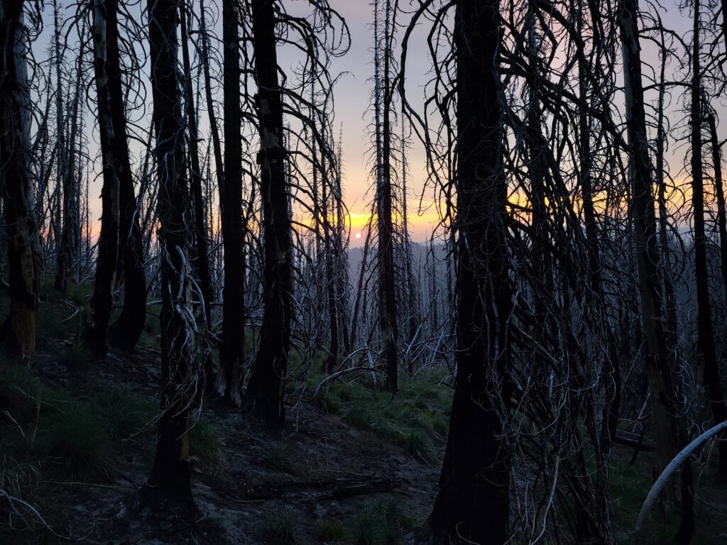 PCT day 134 · PCT class 2022 – fotka 1