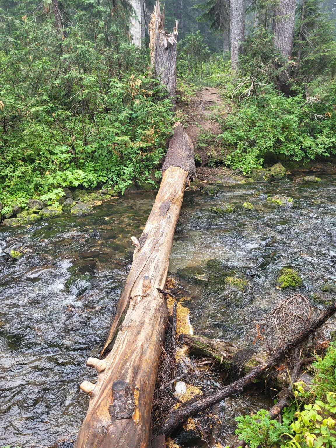 PCT day 135 · PCT class 2022 – fotka 1