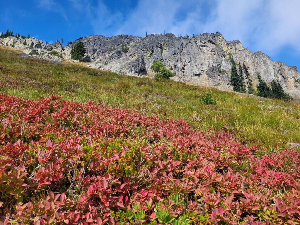 PCT day 136 · PCT class 2022 – fotka 4