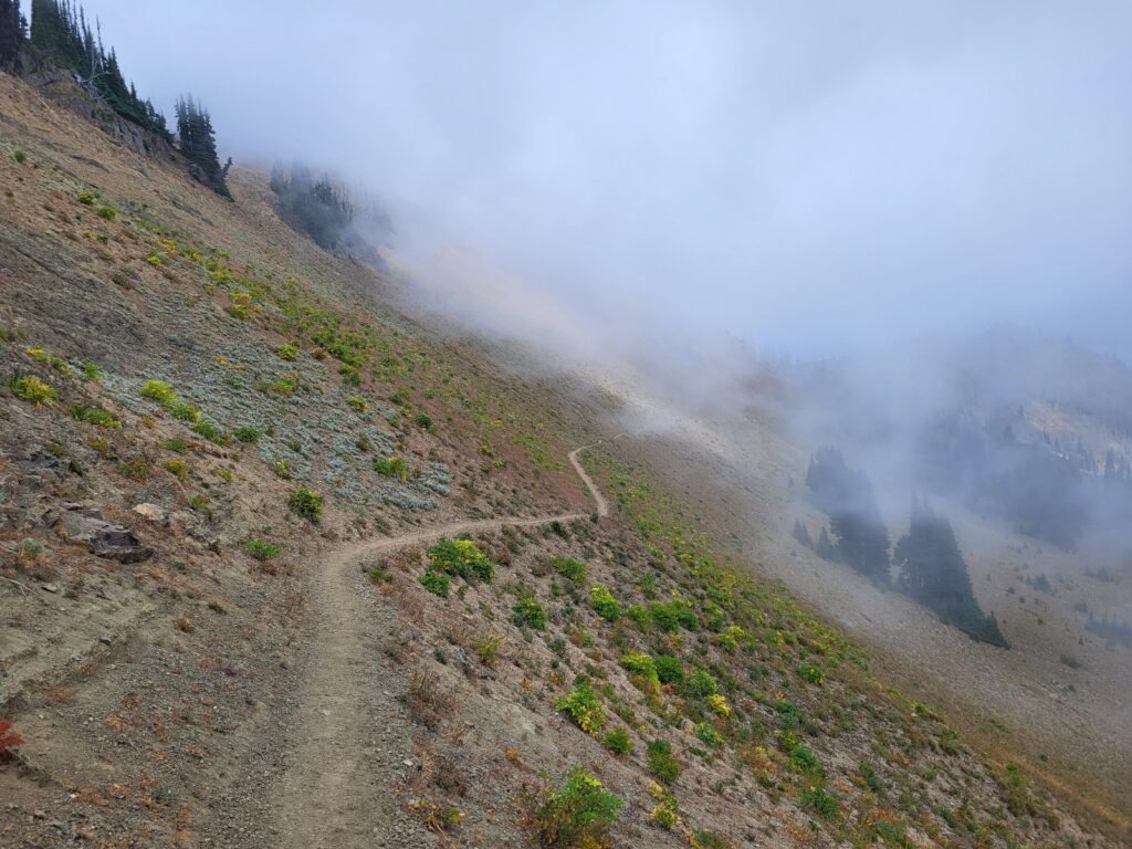 PCT day 136 · PCT class 2022 – fotka 5
