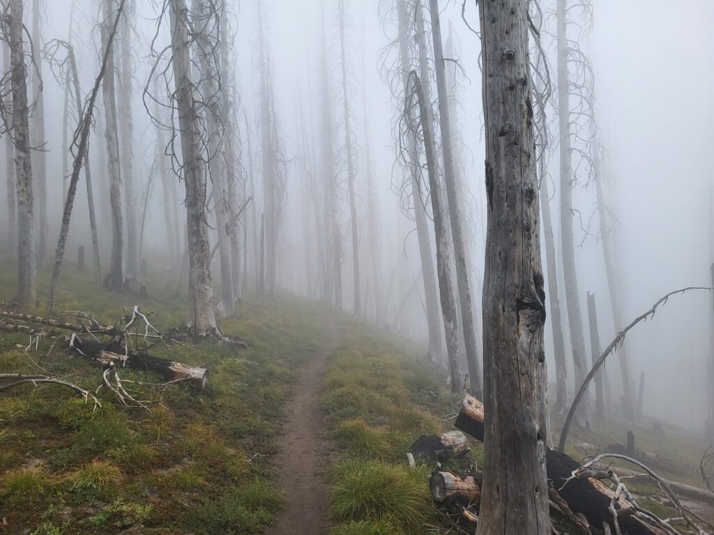 PCT day 136 · PCT class 2022 – fotka 6