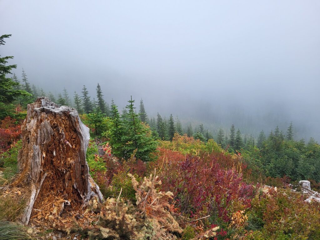 PCT day 137 · PCT class 2022 – fotka 1