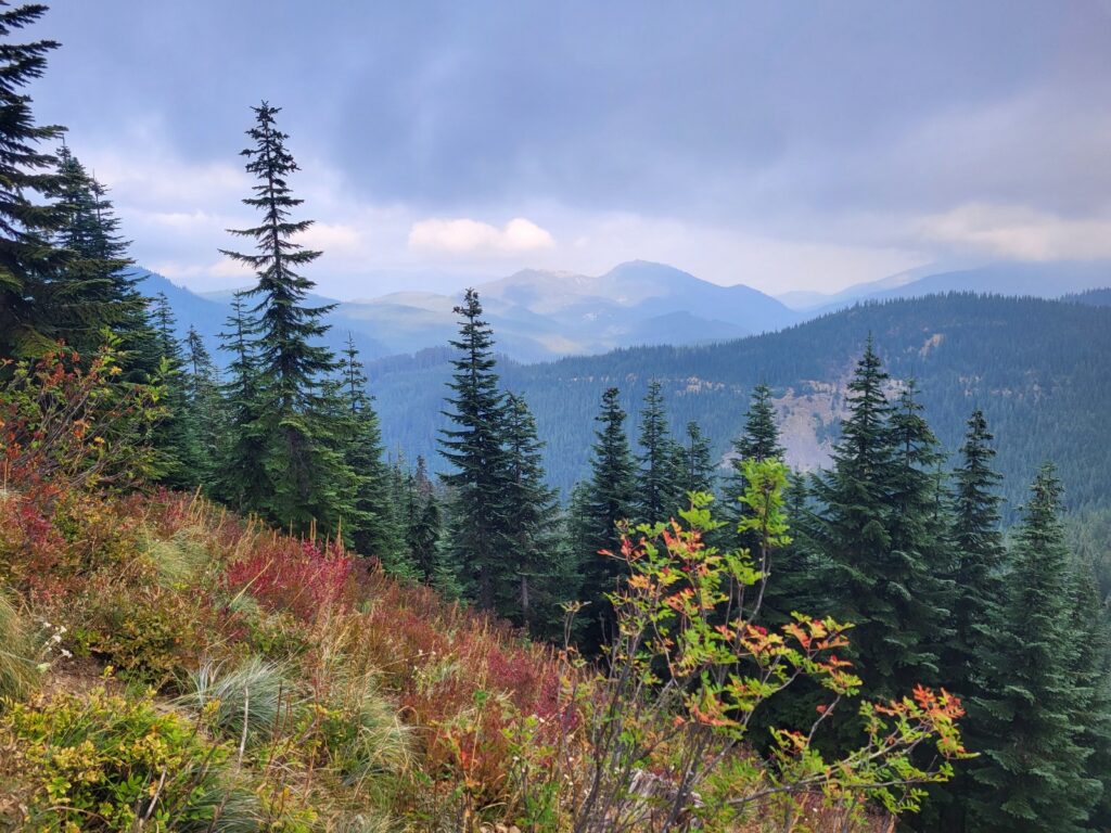 PCT day 137 · PCT class 2022 – fotka 3