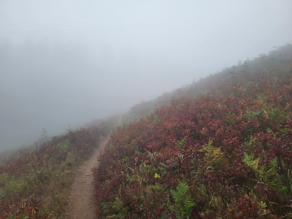PCT day 138 · PCT class 2022 – fotka 1
