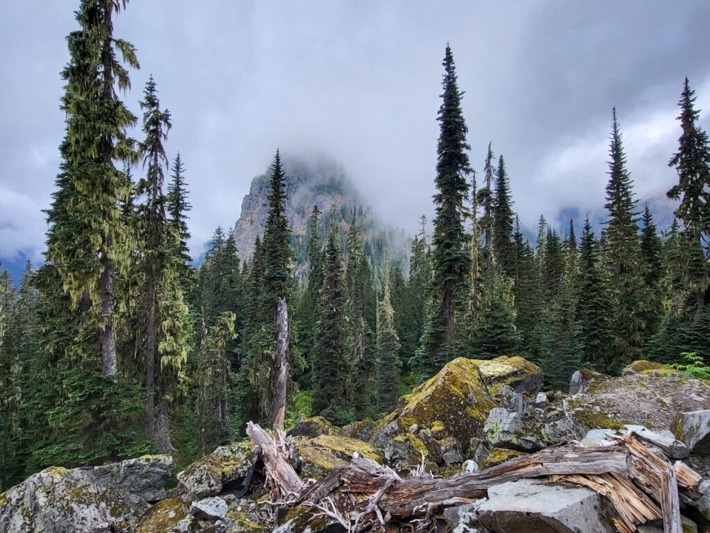 PCT day 139 · PCT class 2022 – fotka 2