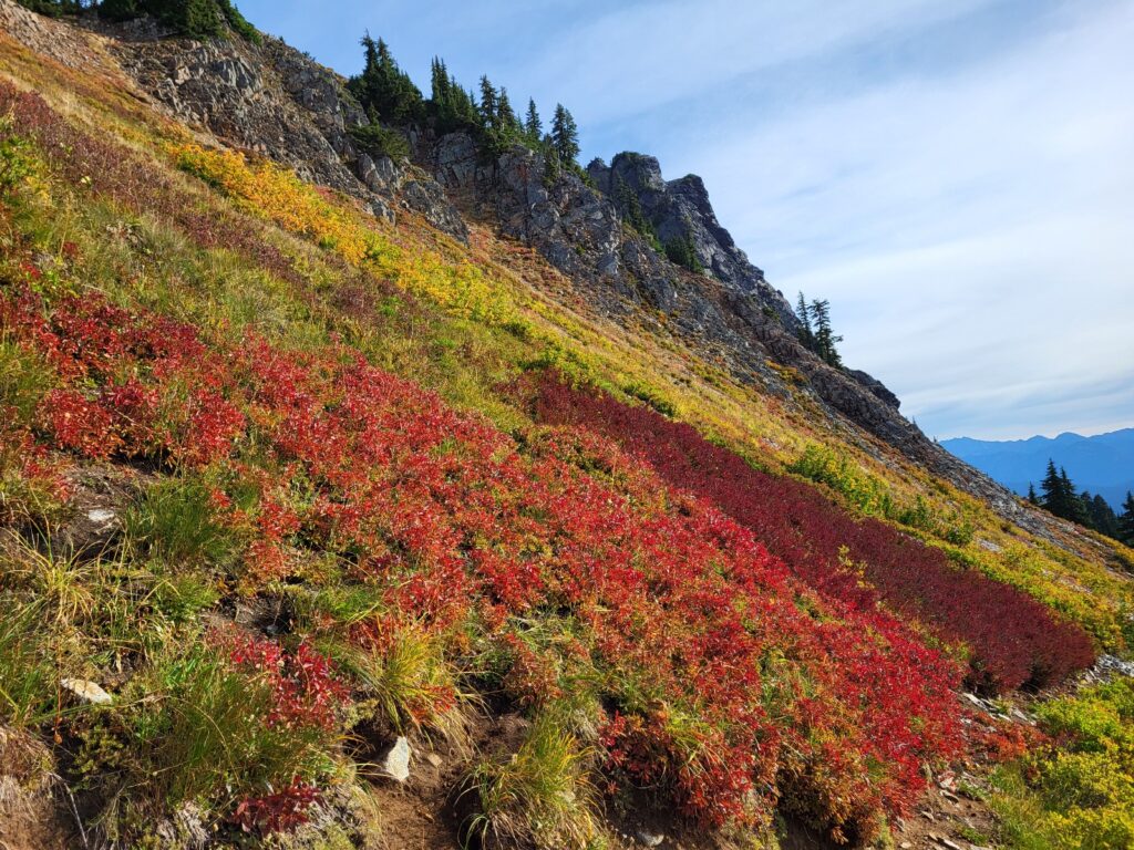 PCT day 140 · PCT class 2022 – fotka 4