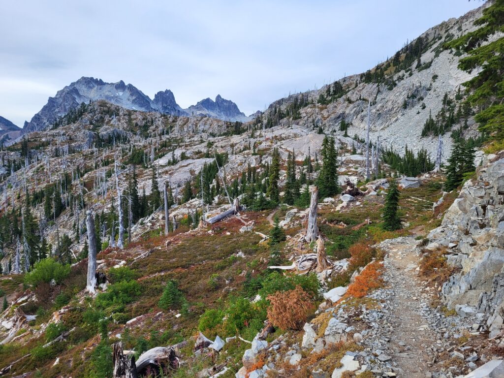 PCT day 140 · PCT class 2022 – fotka 7