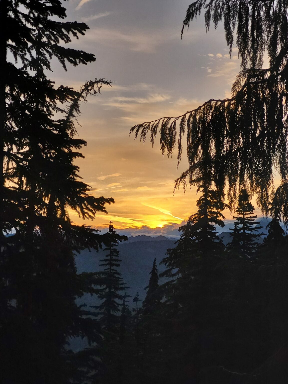 PCT day 141 · PCT class 2022 – fotka 1