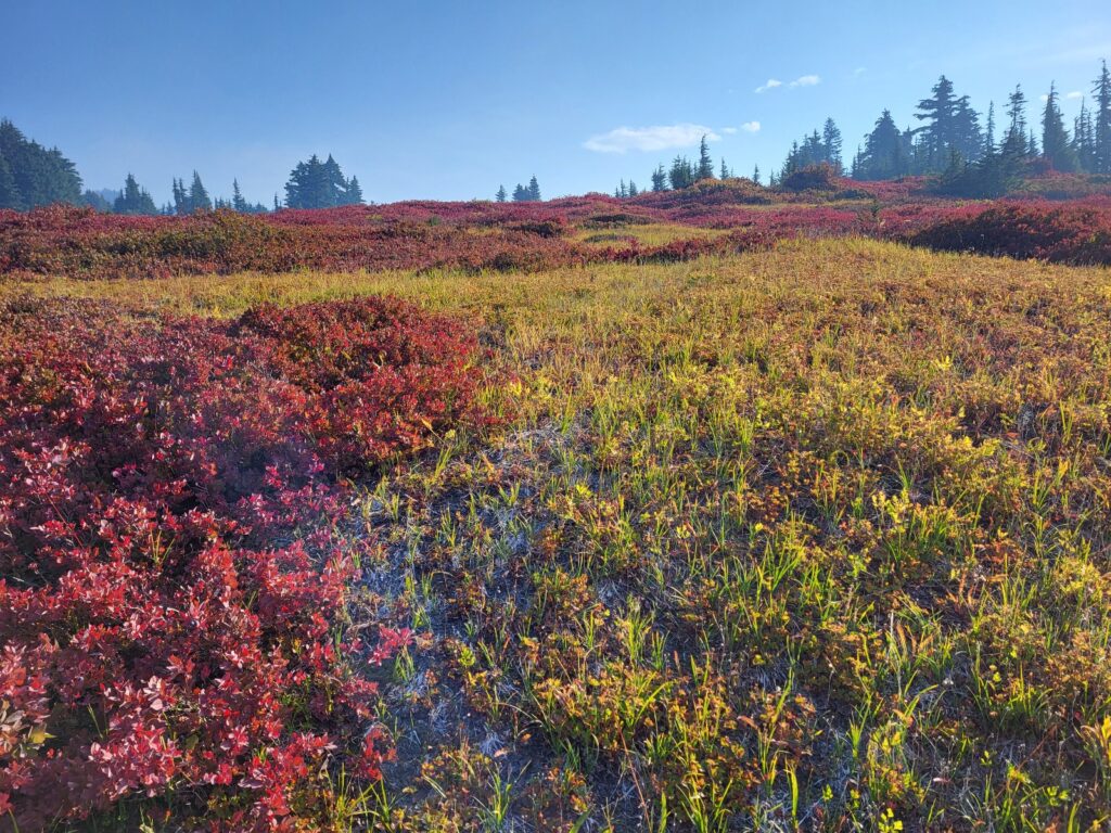 PCT day 145 · PCT class 2022 – fotka 4