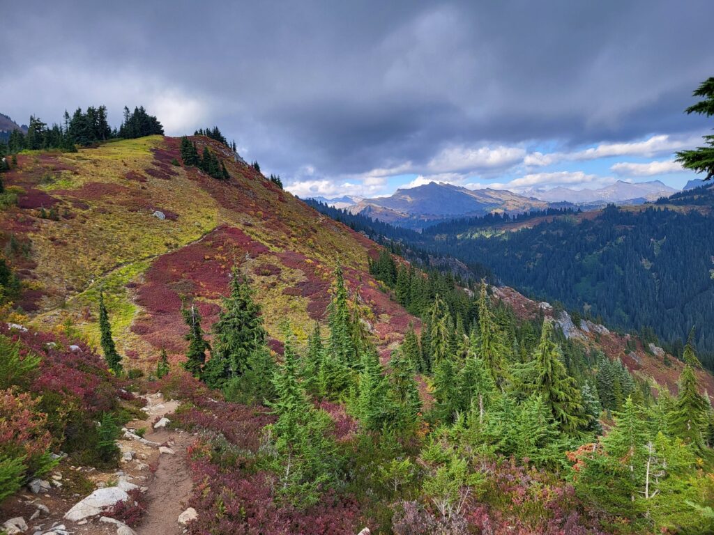 PCT day 145 · PCT class 2022 – fotka 8