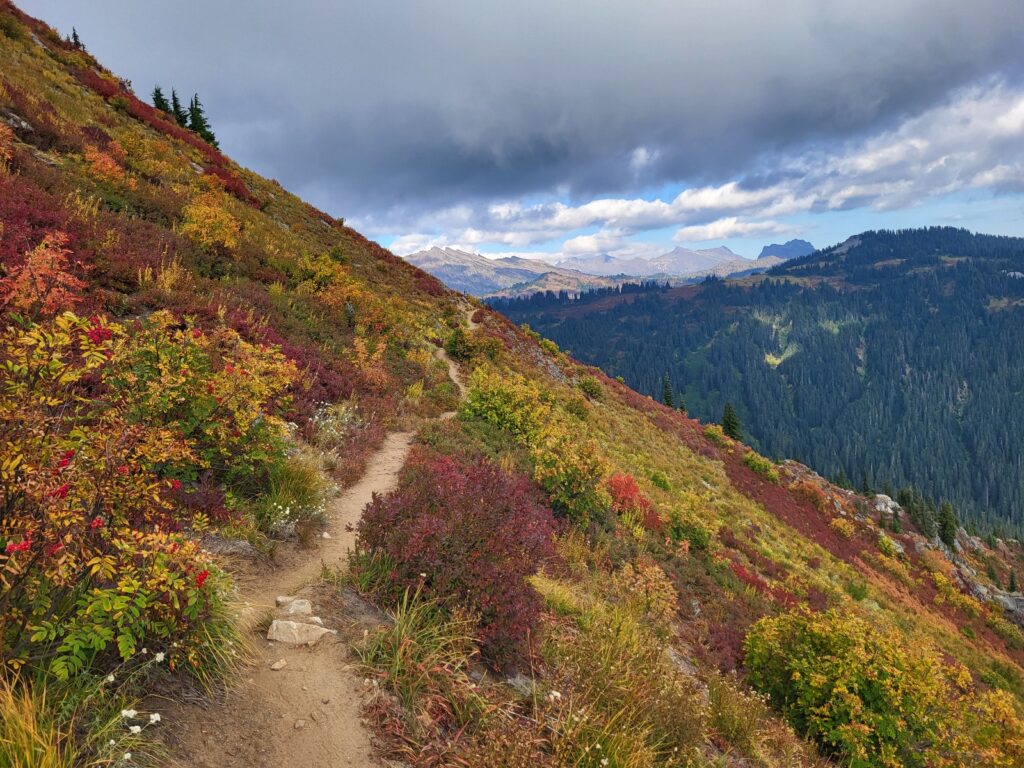 PCT day 145 · PCT class 2022 – fotka 9