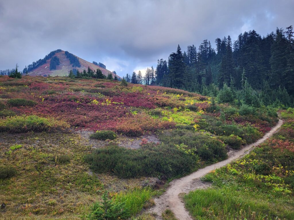 PCT day 145 · PCT class 2022 – fotka 11