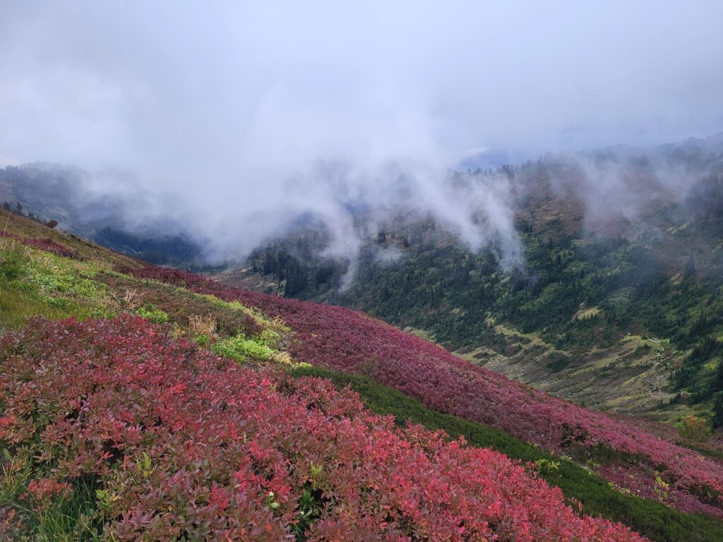 PCT day 146 · PCT class 2022 – fotka 1