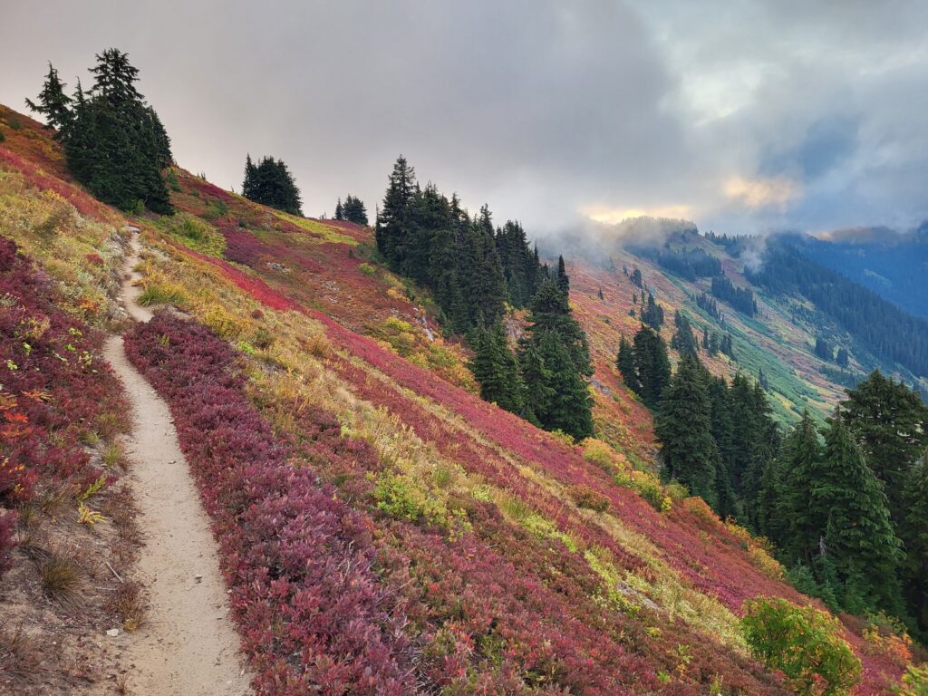 PCT day 146 · PCT class 2022 – fotka 2