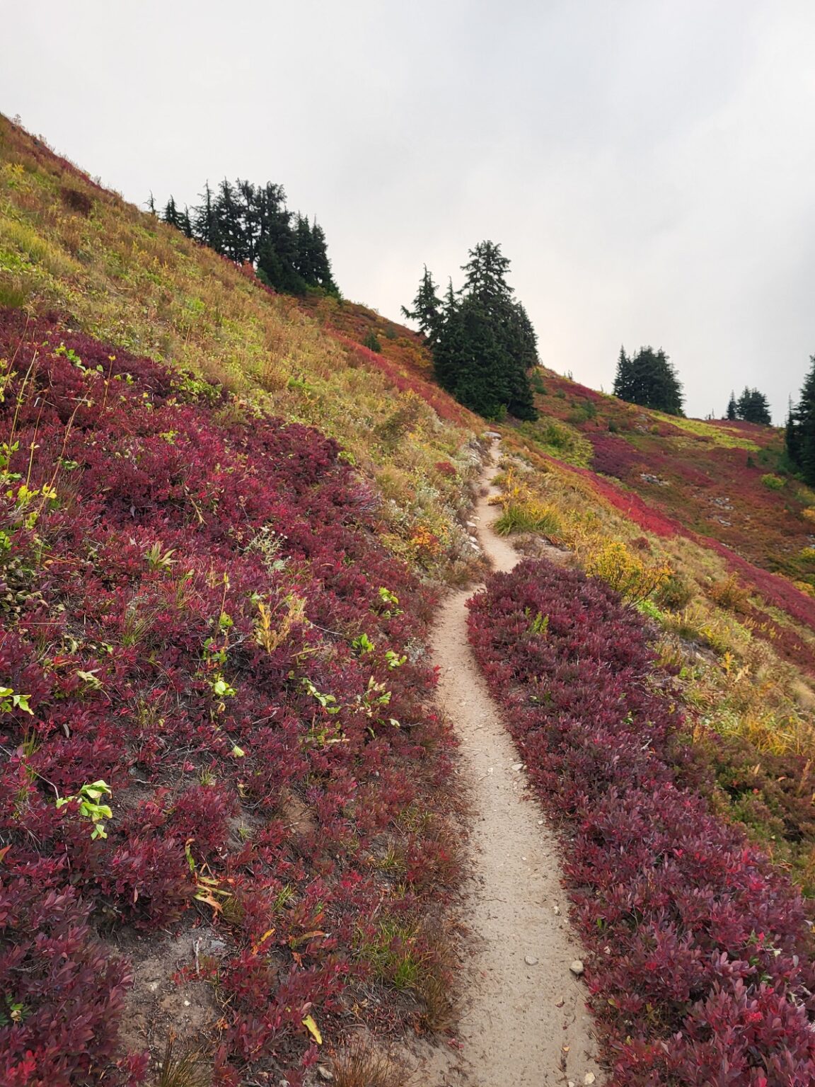 PCT day 146 · PCT class 2022 – fotka 4