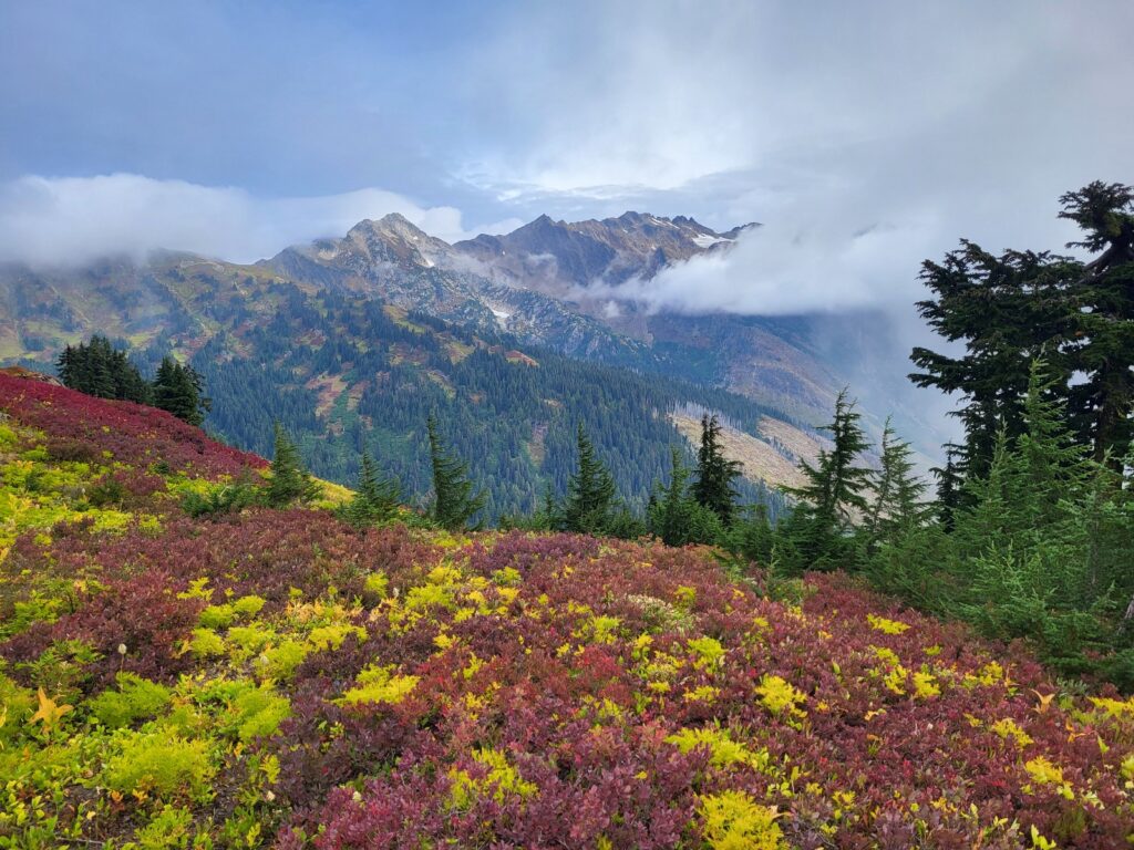 PCT day 146 · PCT class 2022 – fotka 5