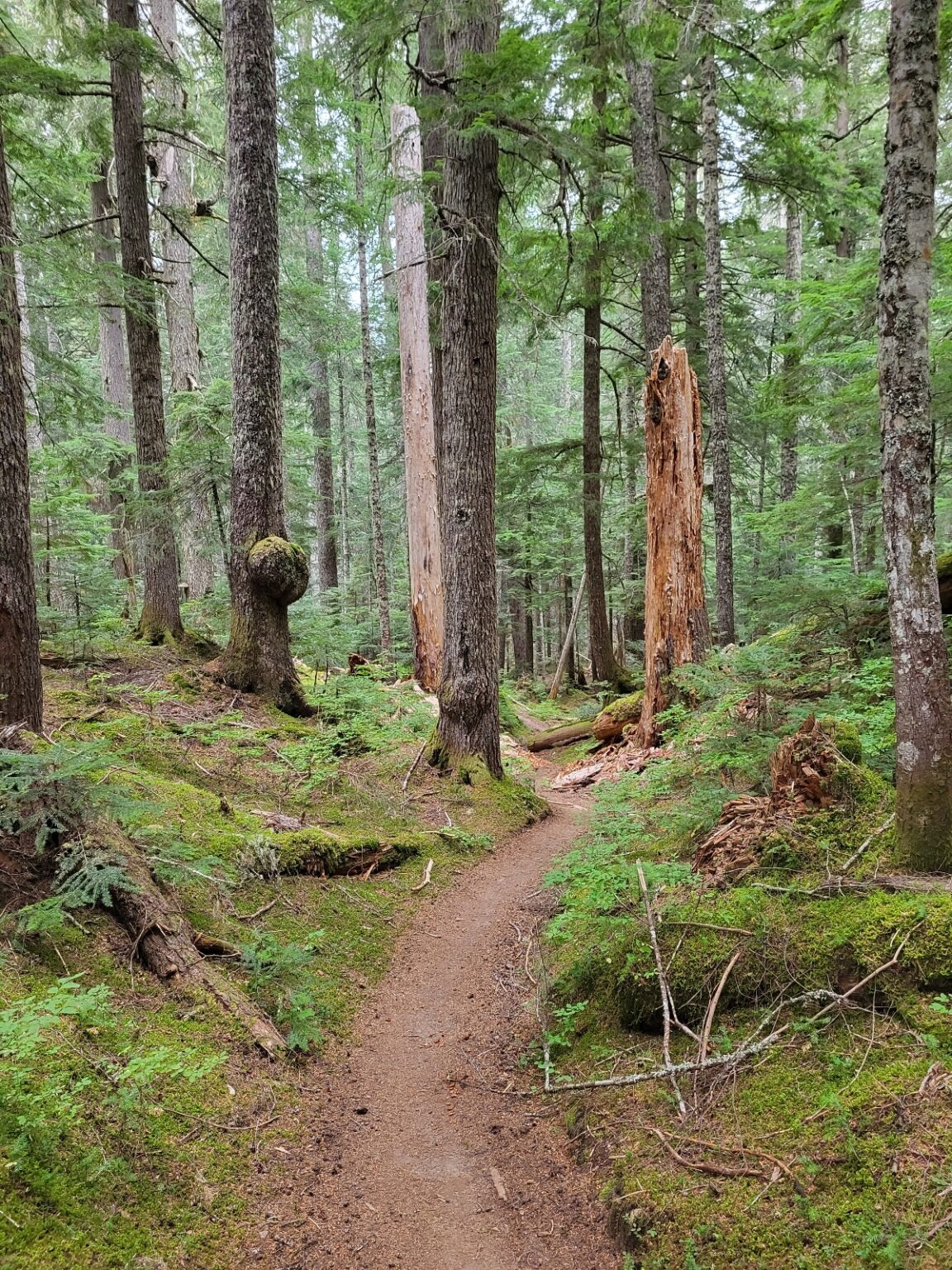 PCT day 146 · PCT class 2022 – fotka 10