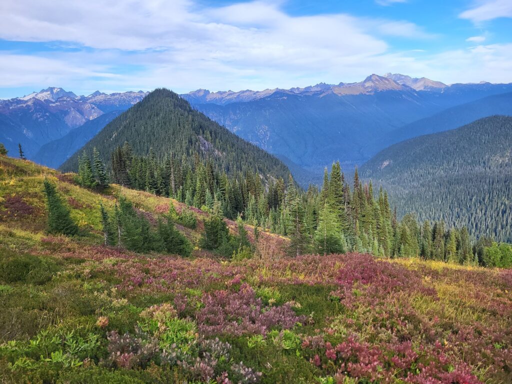 PCT day 147 · PCT class 2022 – fotka 12