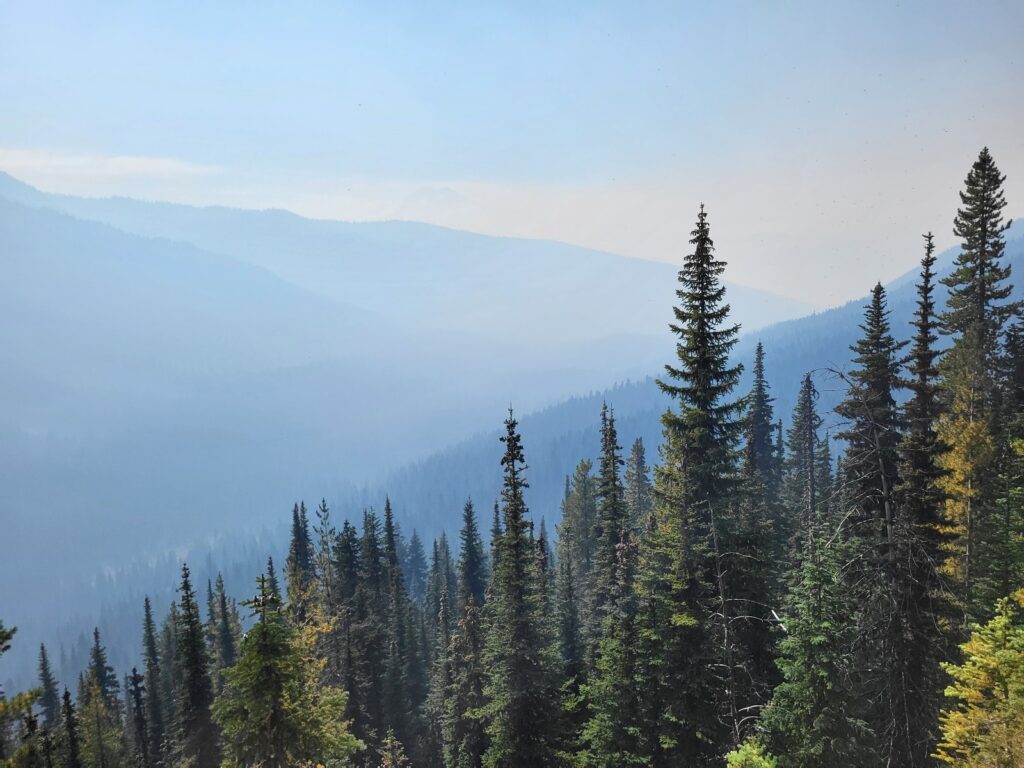 PCT day 148 · PCT class 2022 – fotka 3