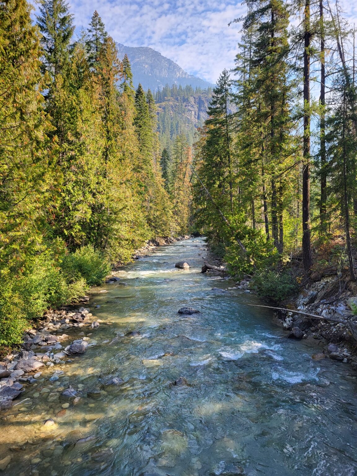 PCT day 149 · PCT class 2022 – fotka 3