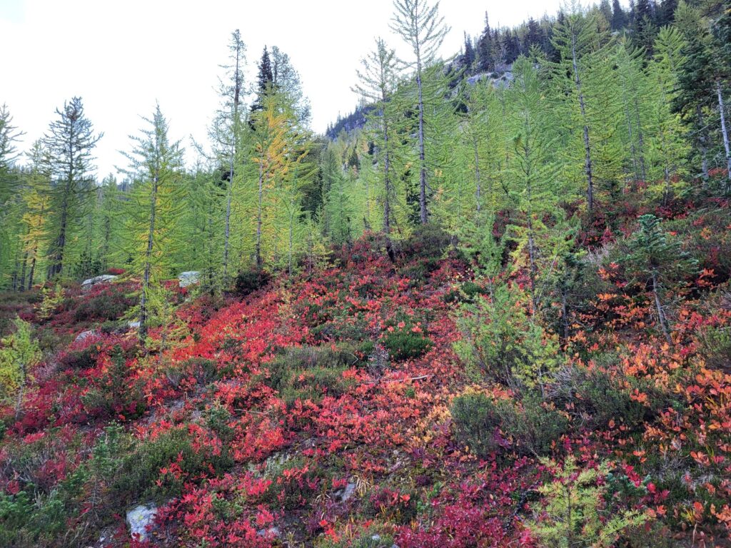 PCT day 151 · PCT class 2022 – fotka 1
