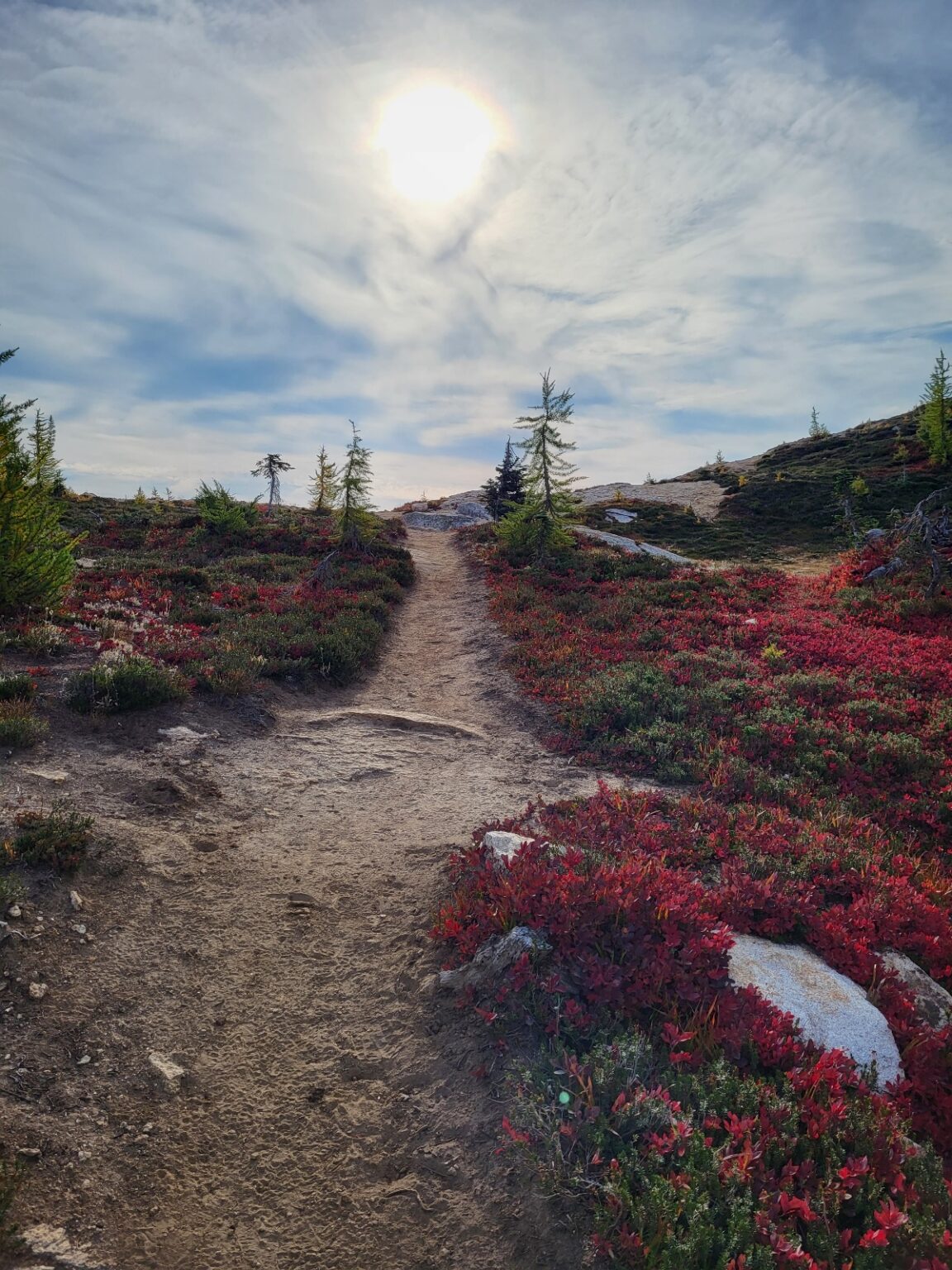 PCT day 151 · PCT class 2022 – fotka 5