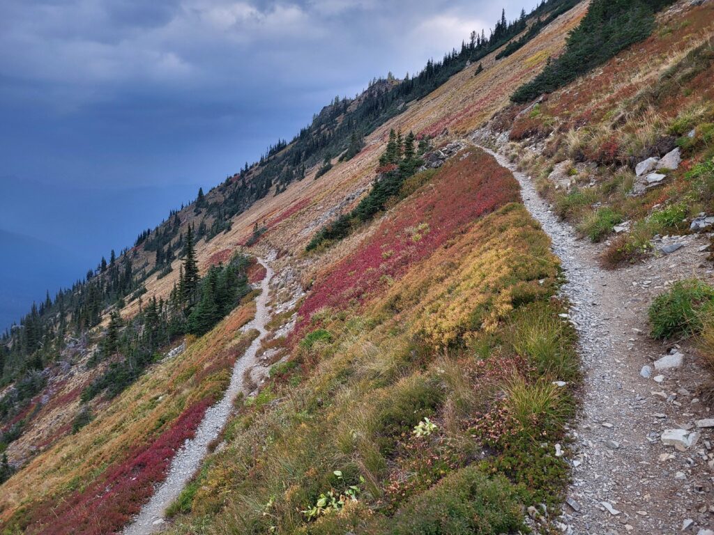 PCT day 151 · PCT class 2022 – fotka 11