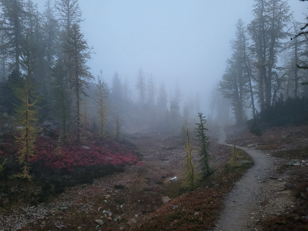 PCT day 152 THE END · PCT class 2022 – fotka 1