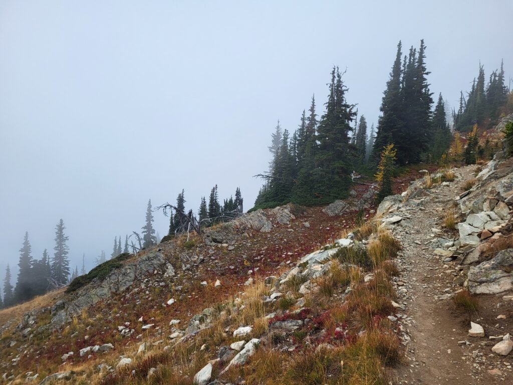 PCT day 152 THE END · PCT class 2022 – fotka 6