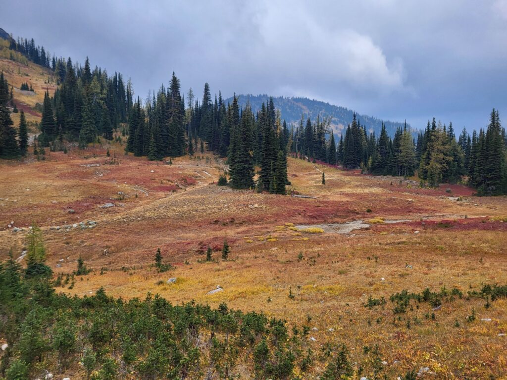 PCT day 152 THE END · PCT class 2022 – fotka 8