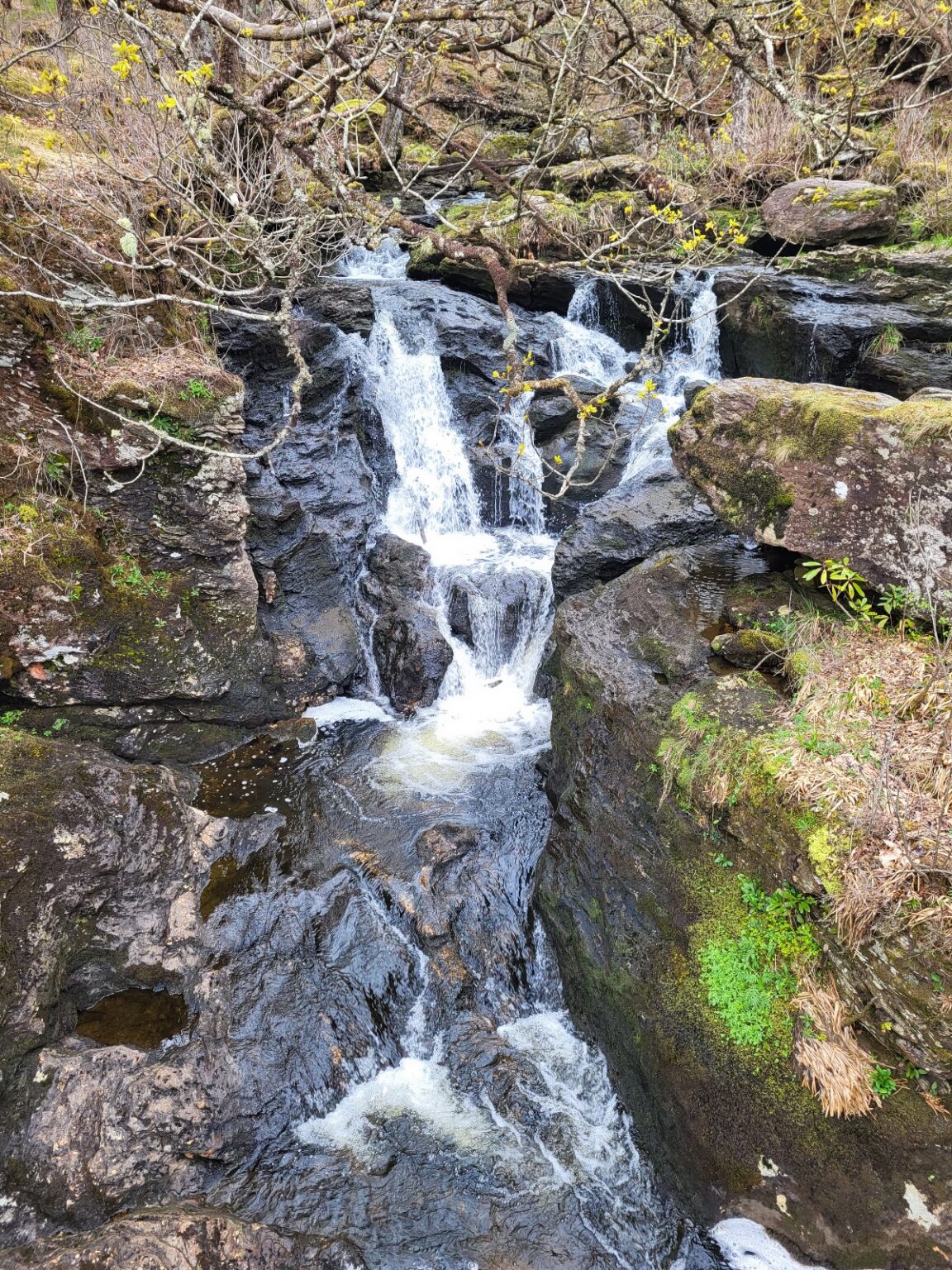 WHW day 4 · West Highland Way – fotka 3