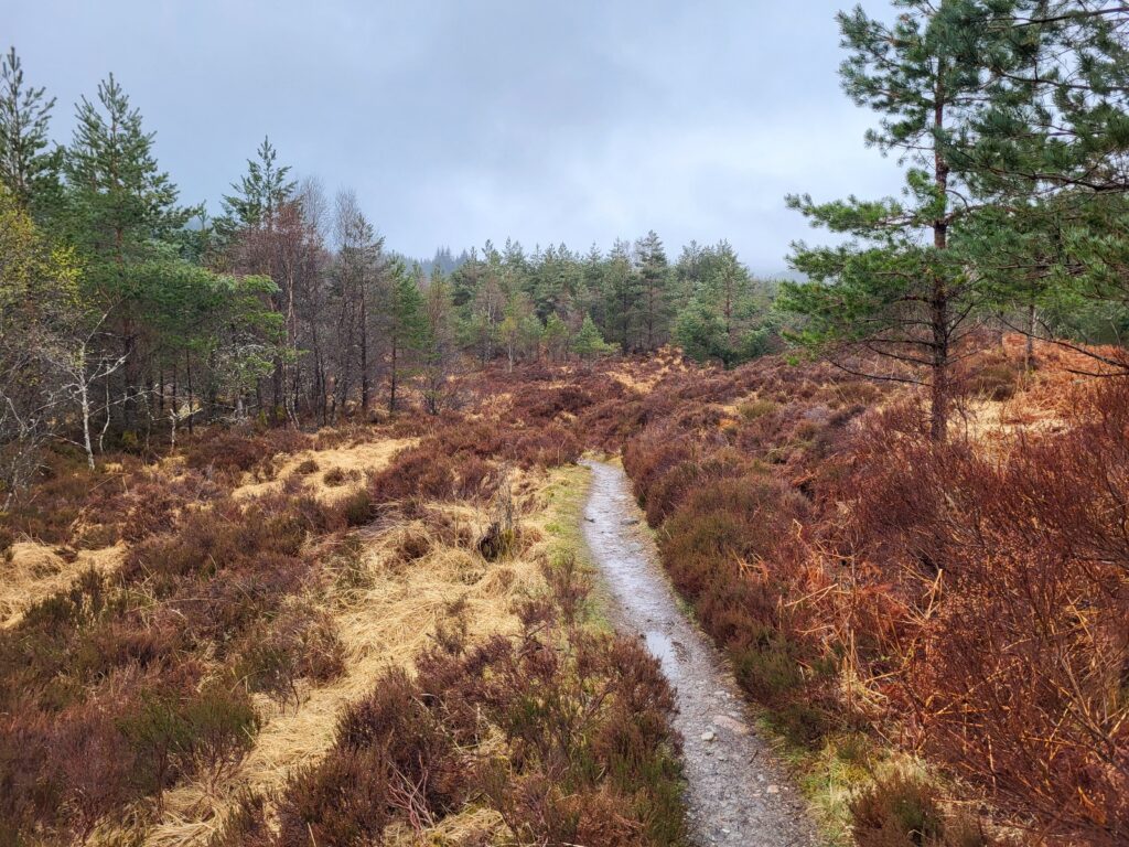 WHW day 5 · West Highland Way – fotka 6