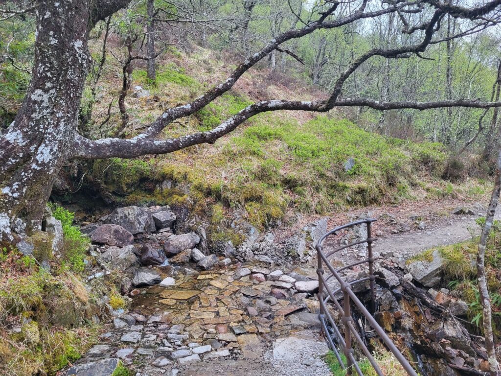 WHW day 8 · West Highland Way – fotka 1