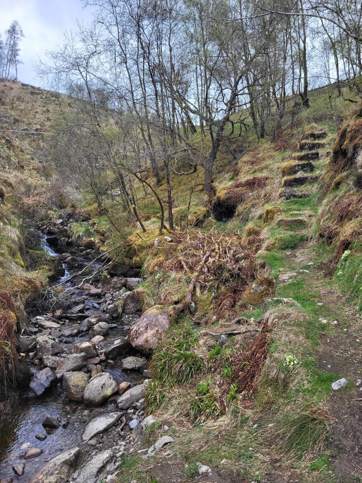 WHW day 8 · West Highland Way – fotka 3