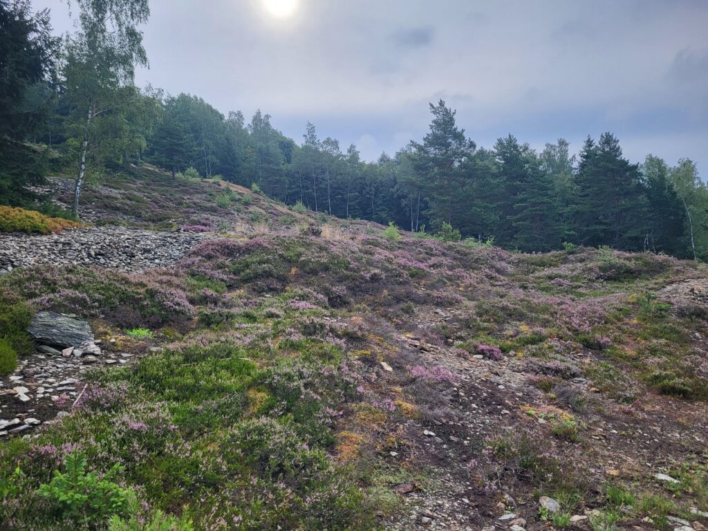 Severní stezka Kraslice -> Horní Blatná · severní – fotka 1