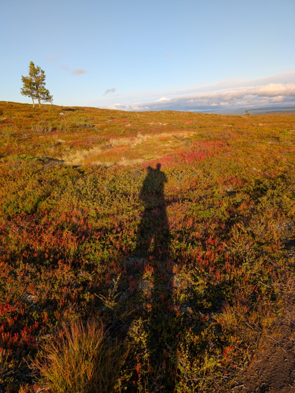 Pallas-Yllästunturin kansallispuisto day 2 · Pallas-Yllästunturin kansallispuisto – fotka 4
