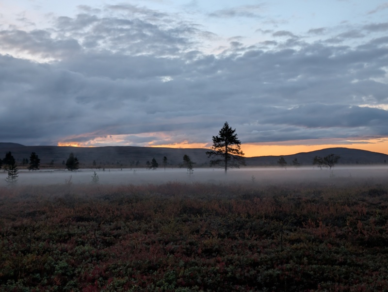 Pallas-Yllästunturin kansallispuisto day 2 · Pallas-Yllästunturin kansallispuisto – fotka 6
