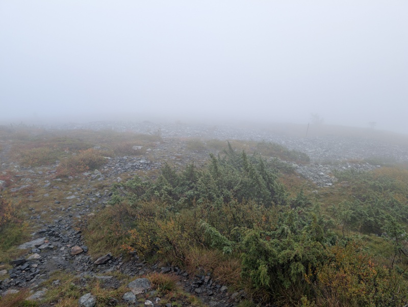 Pallas-Yllästunturin kansallispuisto day 4 · Pallas-Yllästunturin kansallispuisto – fotka 1