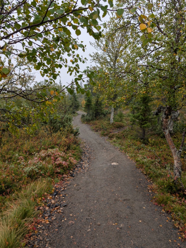 Pallas-Yllästunturin kansallispuisto day 4 · Pallas-Yllästunturin kansallispuisto – fotka 3