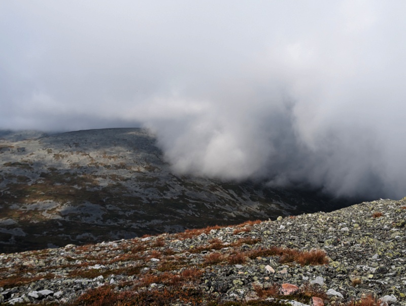 Pallas-Yllästunturin kansallispuisto day 5 · Pallas-Yllästunturin kansallispuisto – fotka 4