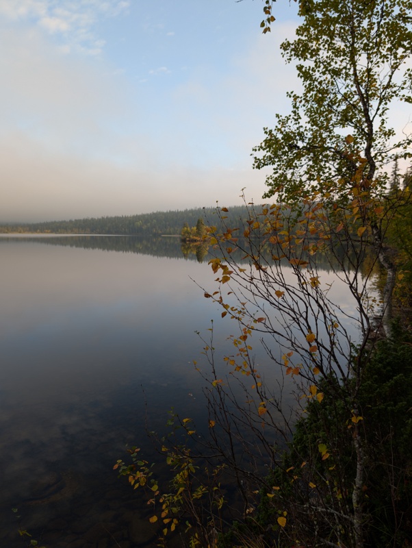 Pallas-Yllästunturin kansallispuisto day 7 · Pallas-Yllästunturin kansallispuisto – fotka 1